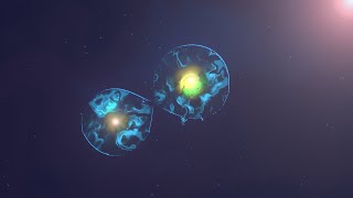 CellDivision